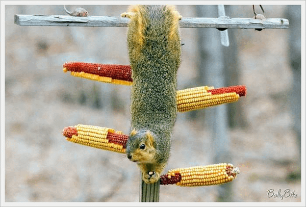 image027.png