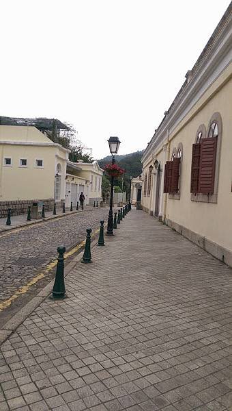 IMAG7880.jpg