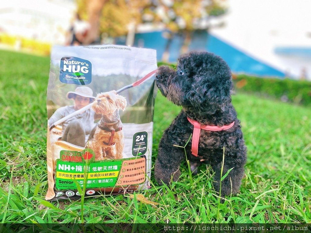 【分齡狗糧推薦】NH+擁恆低敏天然糧熟齡犬適用-一款毛孩吃的