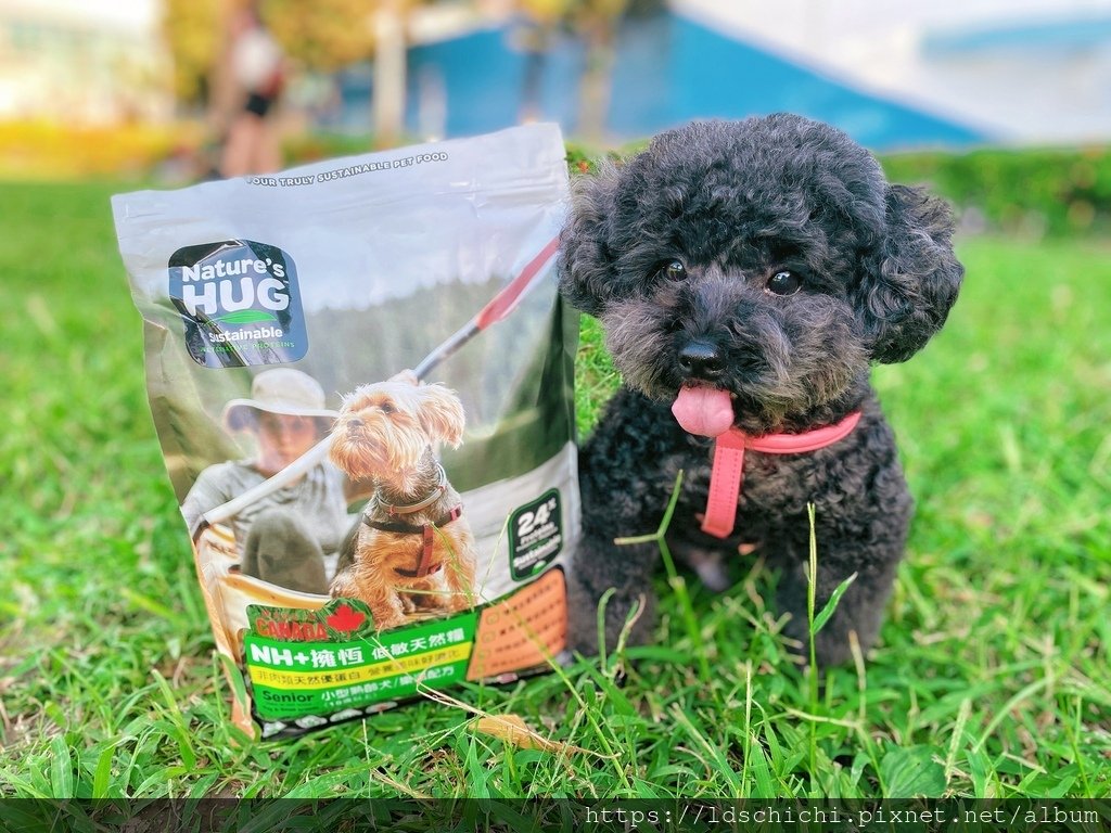 【分齡狗糧推薦】NH+擁恆低敏天然糧熟齡犬適用-一款毛孩吃的