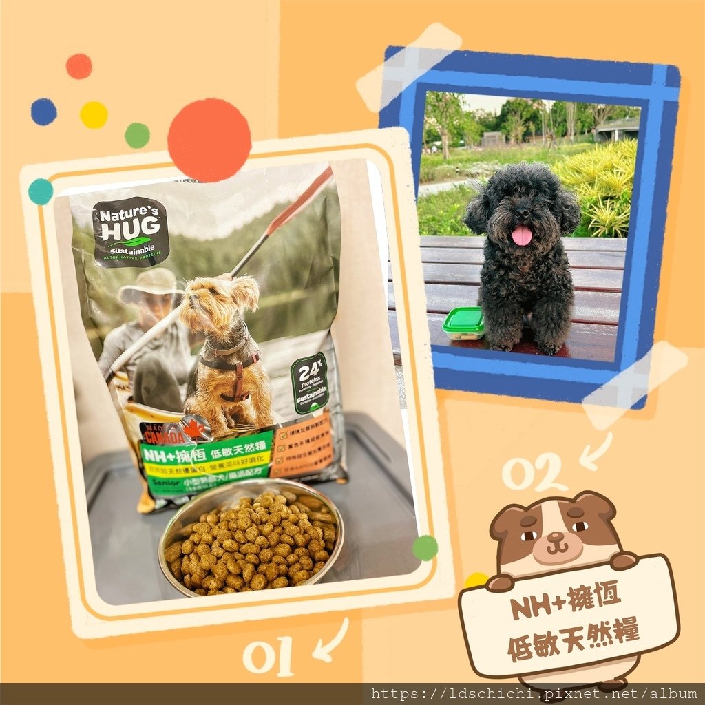 【分齡狗糧推薦】NH+擁恆低敏天然糧熟齡犬適用-一款毛孩吃的