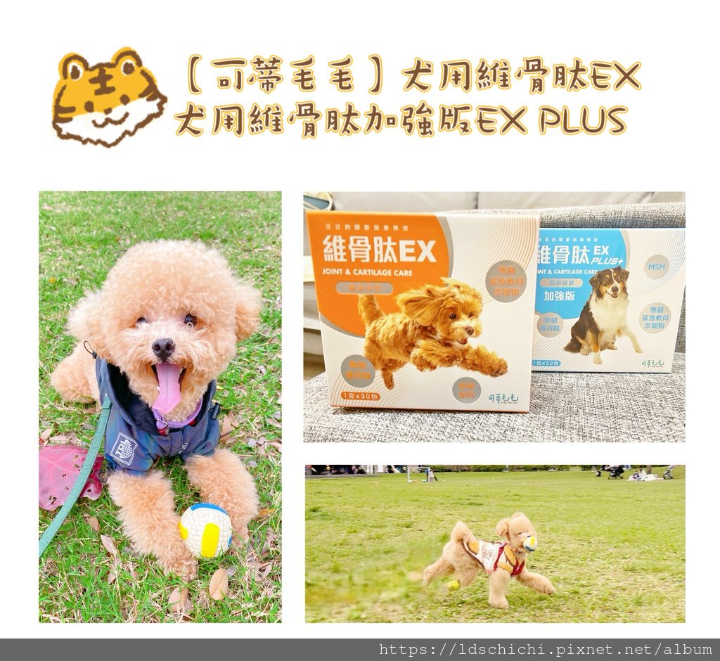 【寵物保養】『可蒂毛毛』犬用維骨肽適-守護汪汪骨骼健康關節保