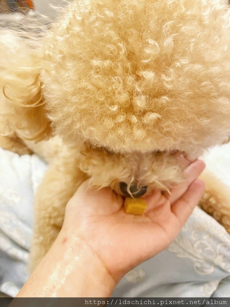【寵物健康】威旺WeWant威旺超優疫-全素食三效合一保健配