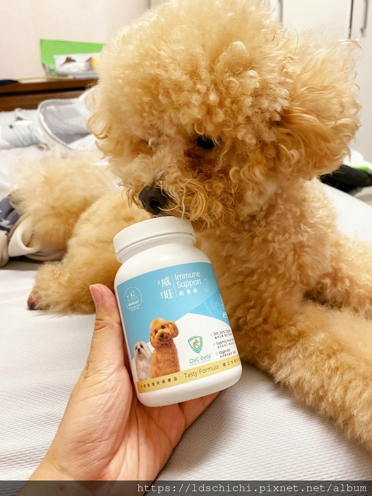 【寵物健康】威旺WeWant威旺超優疫-全素食三效合一保健配