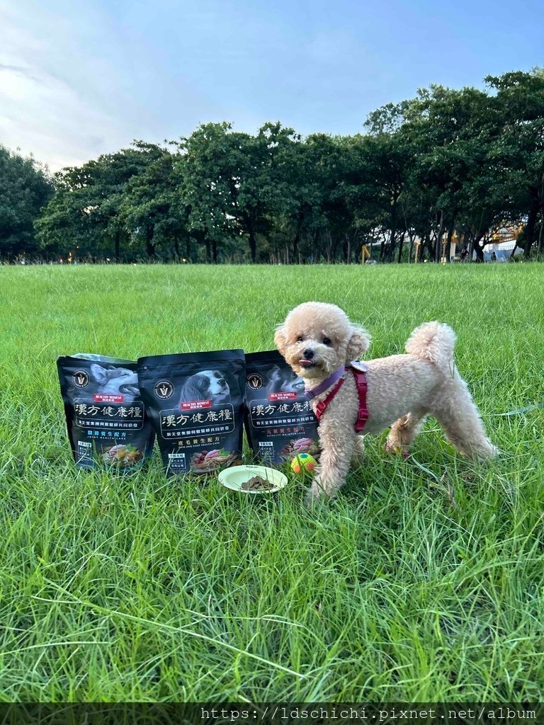 【寵物飼料】關健時刻『漢方健康糧』推薦- 元氣養生、關節養生