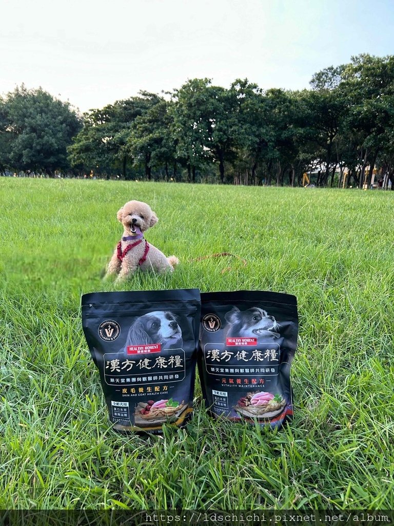 【寵物飼料】關健時刻『漢方健康糧』推薦- 元氣養生、關節養生