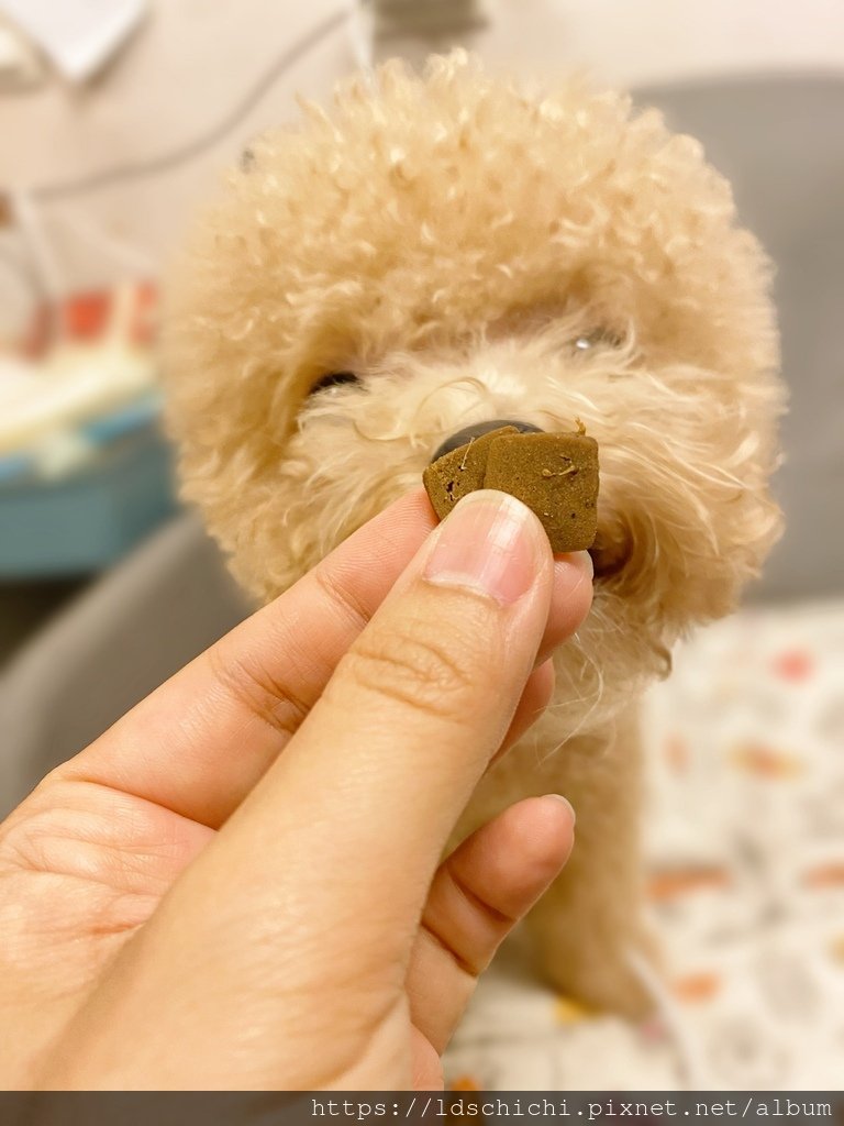 【寵物飼料】關健時刻『漢方健康糧』推薦- 元氣養生、關節養生