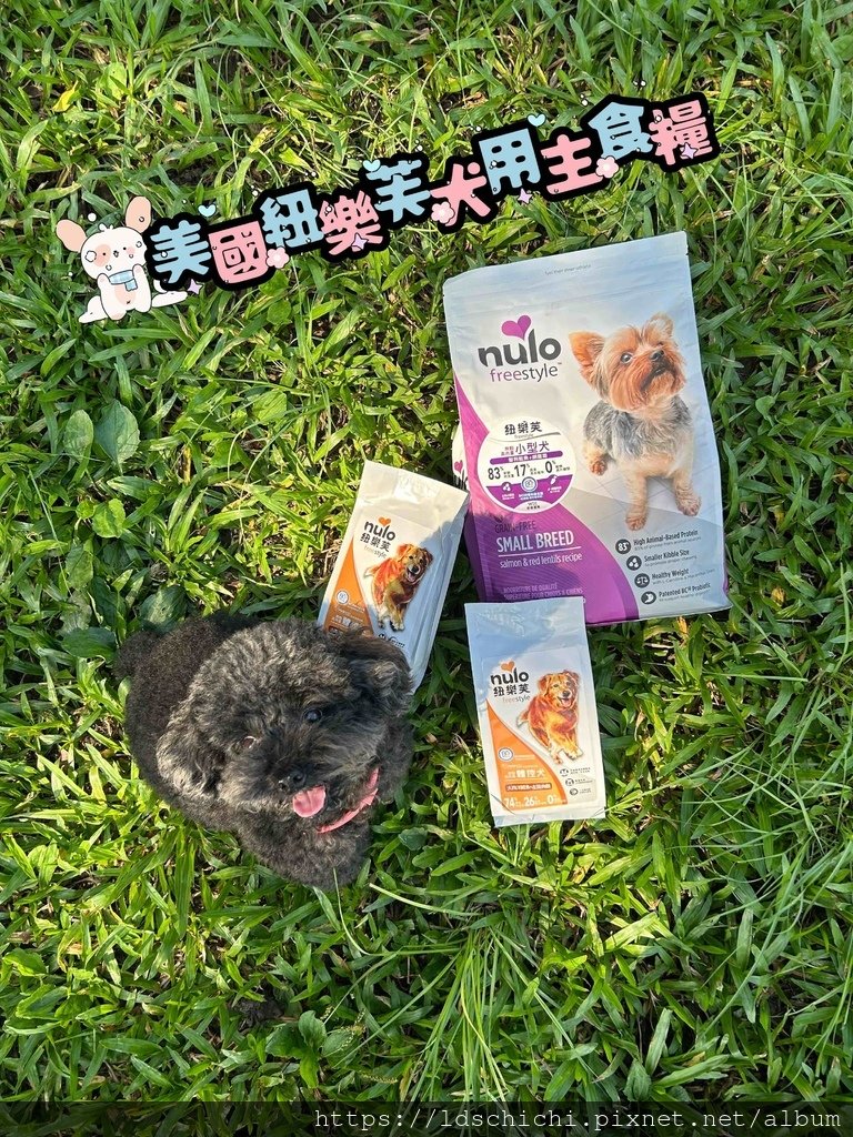 【2024寵物飼料開箱】品果國際『美國NULO紐樂芙飼料』-