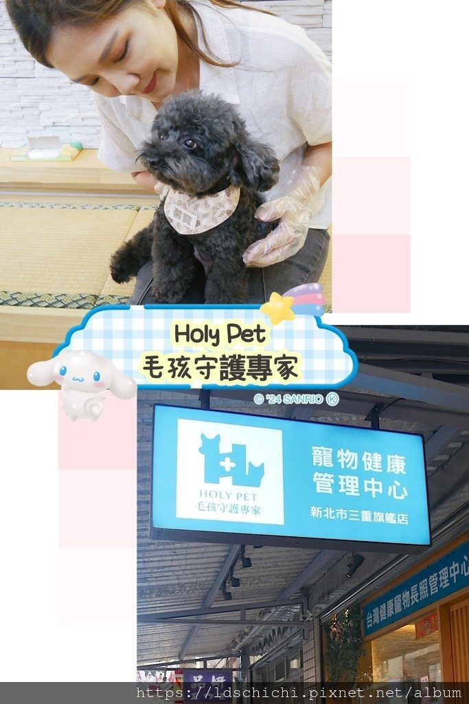 【寵物健康】『Holy Pet毛孩守護專家』mMRI 亞健康