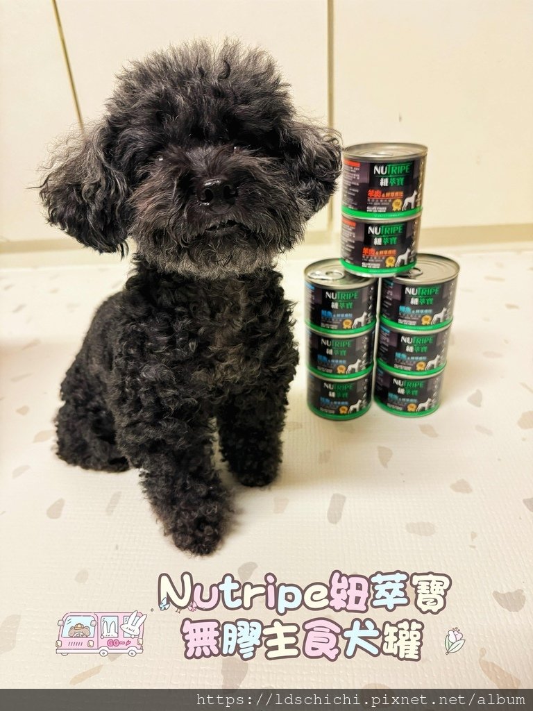 【寵物主食罐】2025主食罐推薦紐西蘭Nutripe紐萃寶無