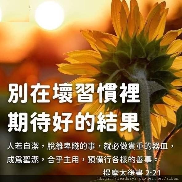 UBER TAXI 優步小黃高雄  UberTaxi  計程車登記證 (5).jpg