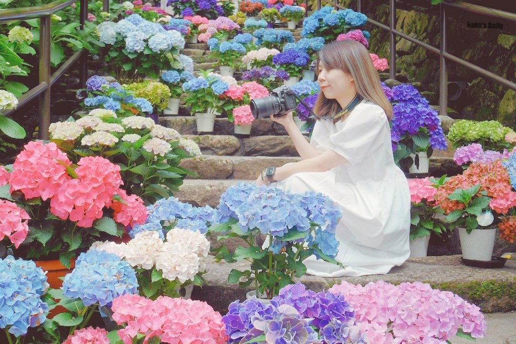 ::日本旅日記::奈良最大觀音菩薩的花之御寺Δ長谷寺賞繡球花