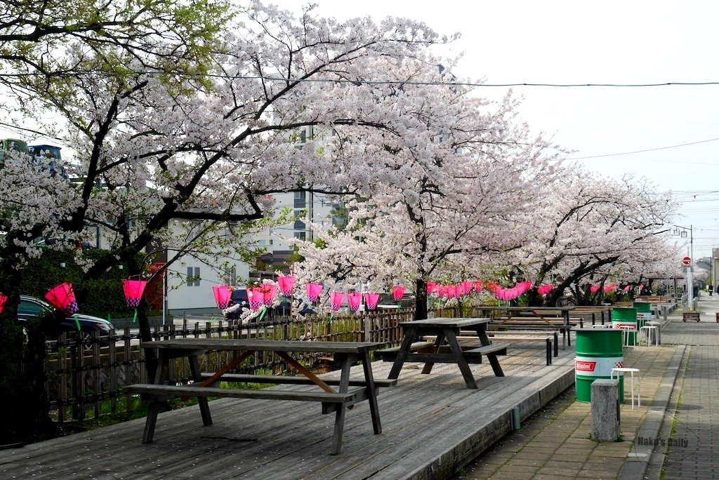 ::日本旅日記::來場小島探險吧Δ愛知佐久島一日遊