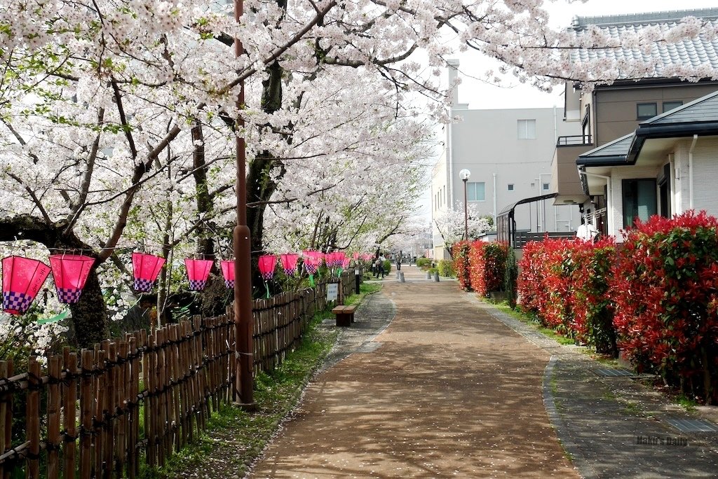 ::日本旅日記::來場小島探險吧Δ愛知佐久島一日遊