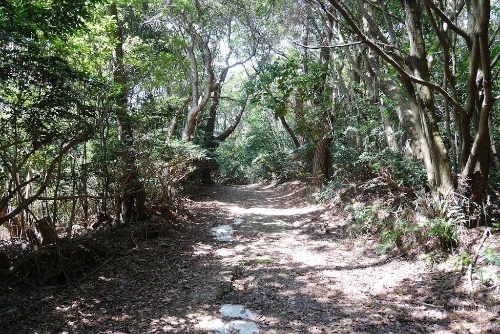 ::日本旅日記::來場小島探險吧Δ愛知佐久島一日遊