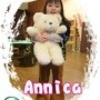 Annica 2