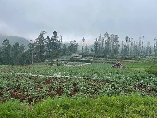 【Dieng】’24 - Easter 中爪自駕行 Day 