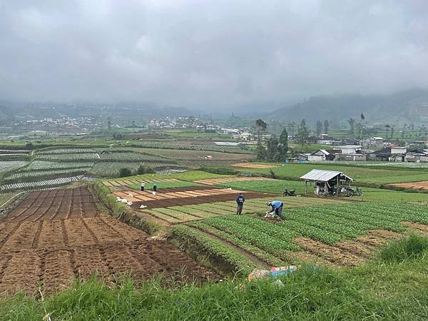 【Dieng】’24 - Easter 中爪自駕行 Day 