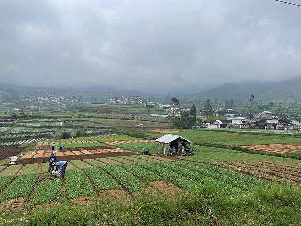 【Dieng】’24 - Easter 中爪自駕行 Day 