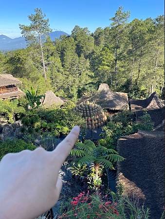 【Bali】’24 - 爪哇峇里自駕行  day 7: Ki