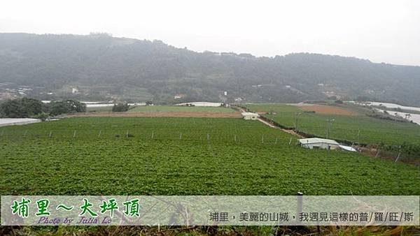 BLOG_SAM_5548_NEW.JPG