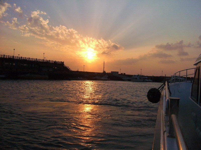PICT1247_resize.JPG