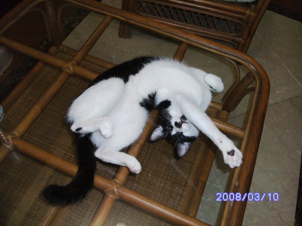 PICT0645.JPG