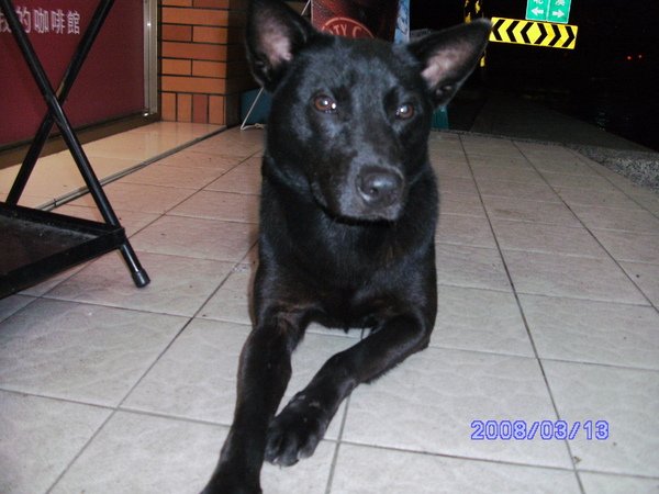 PICT0280.JPG