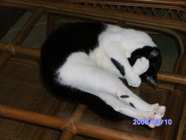 PICT0642.JPG
