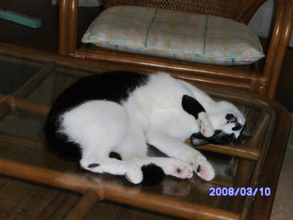 PICT0641.JPG