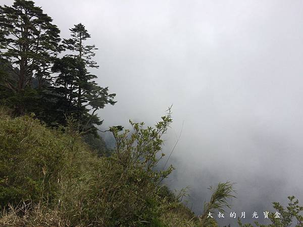 IMG_4941.JPG