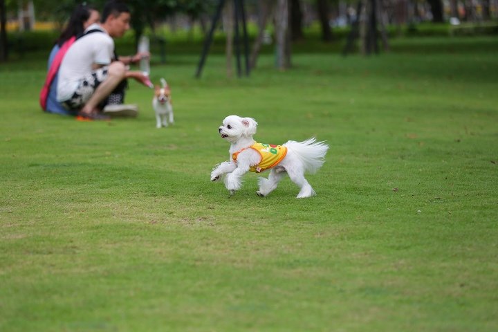 nEO_IMG_8F4A6990.jpg