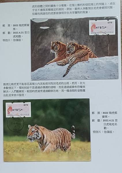 虎年話虎一框原圖展品