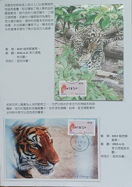 虎年話虎一框原圖展品