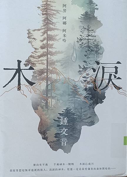 木淚