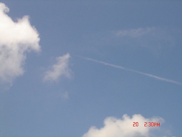 DSC01390.JPG