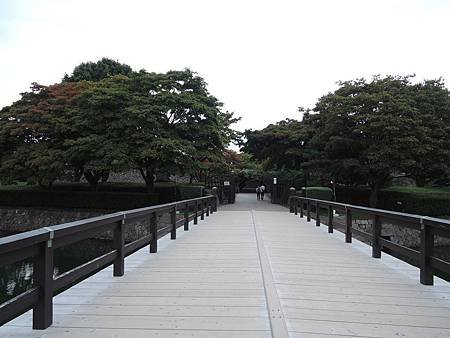 258.jpg