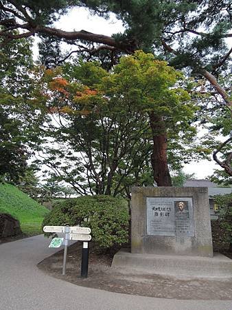259.jpg