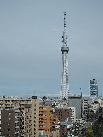 66a.jpg