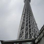 75a.jpg