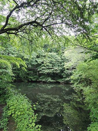 DSCN3685.jpg