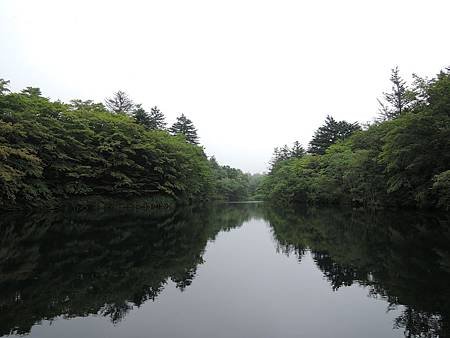 DSCN3687.jpg