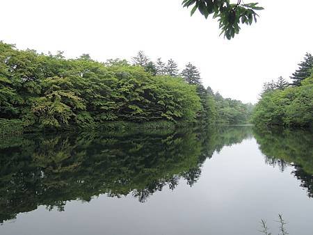 DSCN3689.jpg