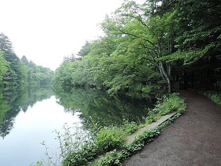 DSCN3690.jpg