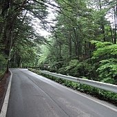 DSCN3729.jpg