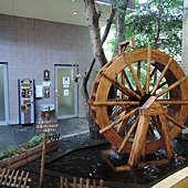 DSCN3738.jpg