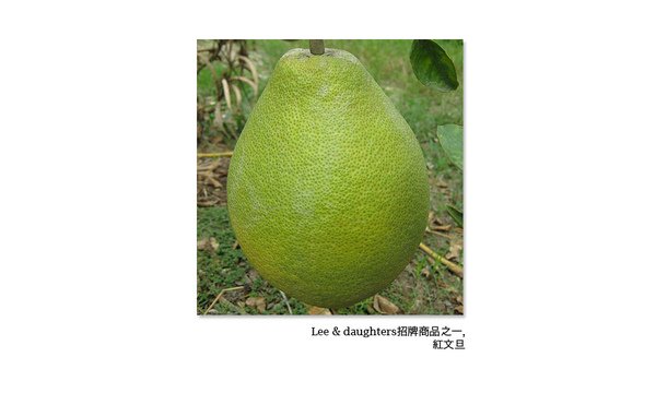 fruit.jpg