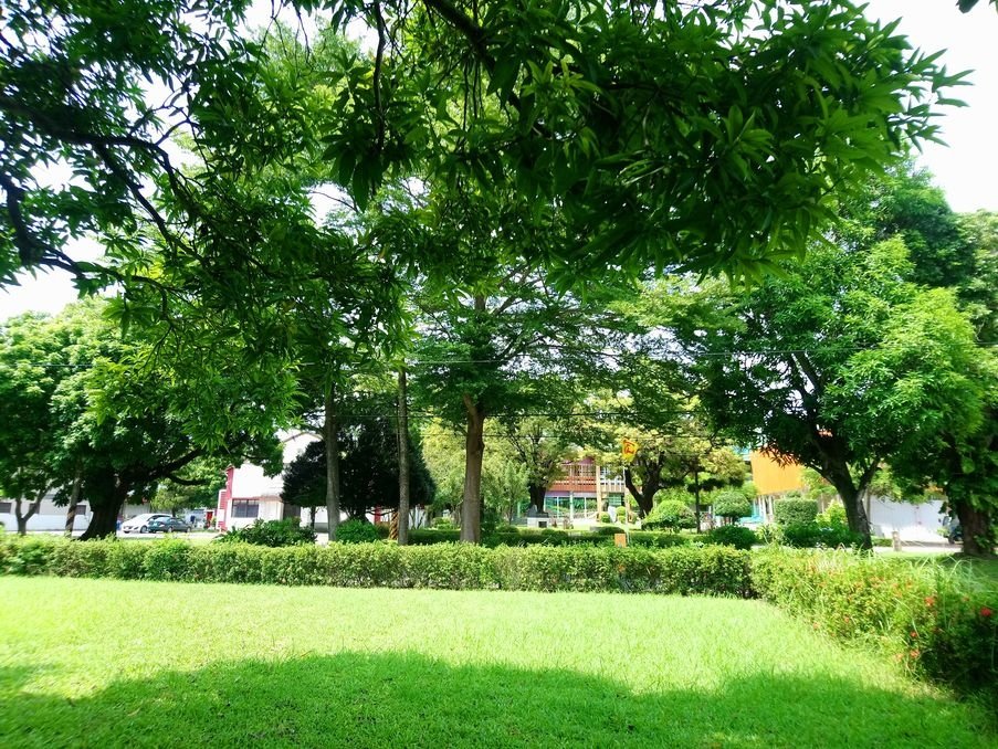 總爺糖廠 (3).JPG