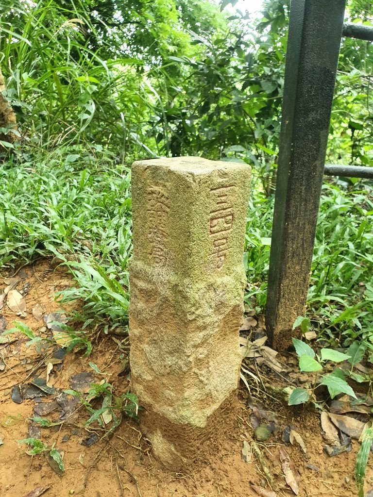 龍過脈步 (7).jpg