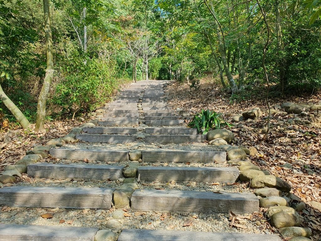 九九峰 (5).jpg